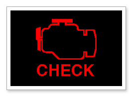 Evolution Chips Diagnostic Trouble Code (DTC) Deletion Service.